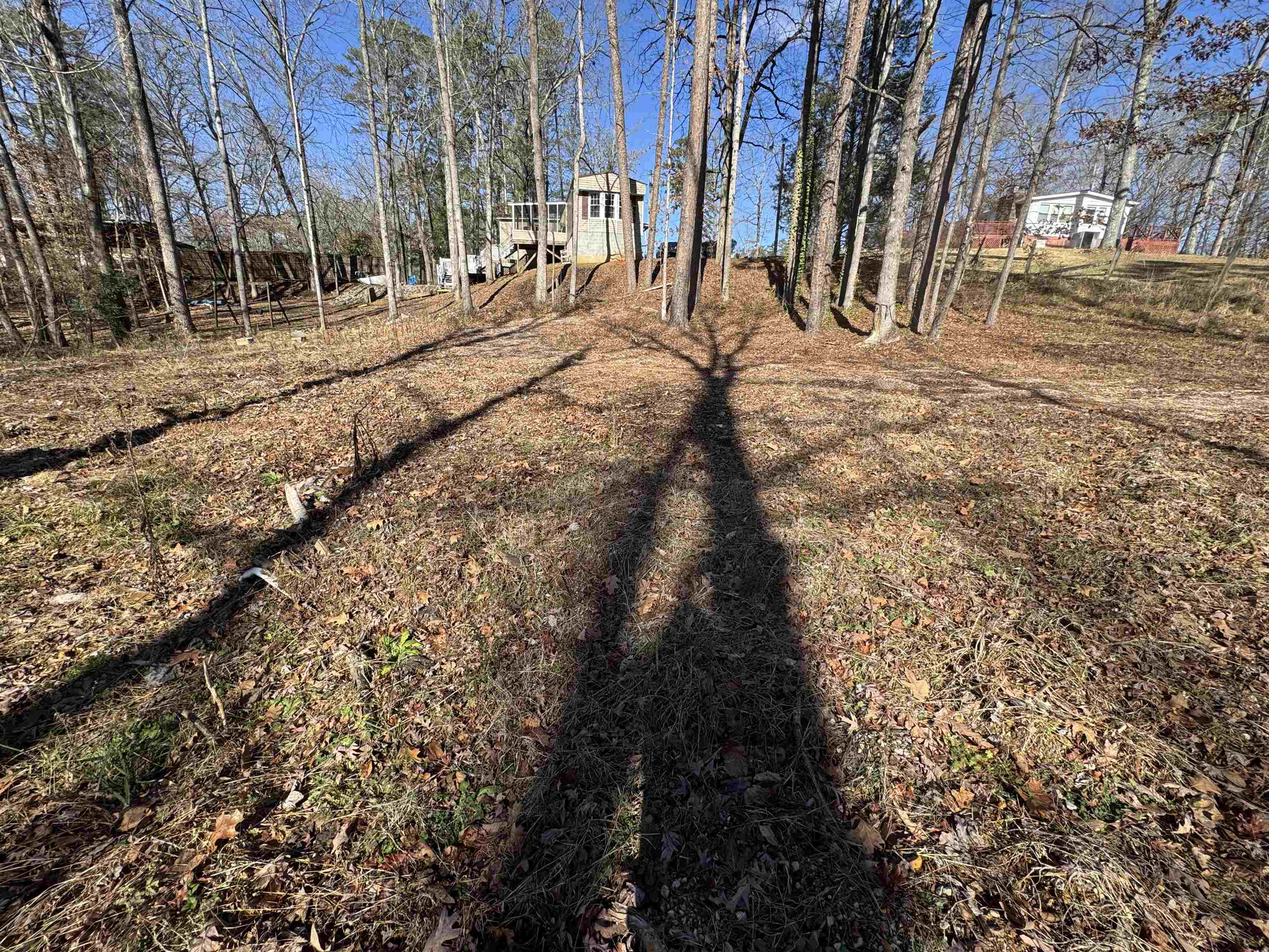 190 Cardinal Road Counce, TN 38326 - Photo 6 of 17 a view of road with yard