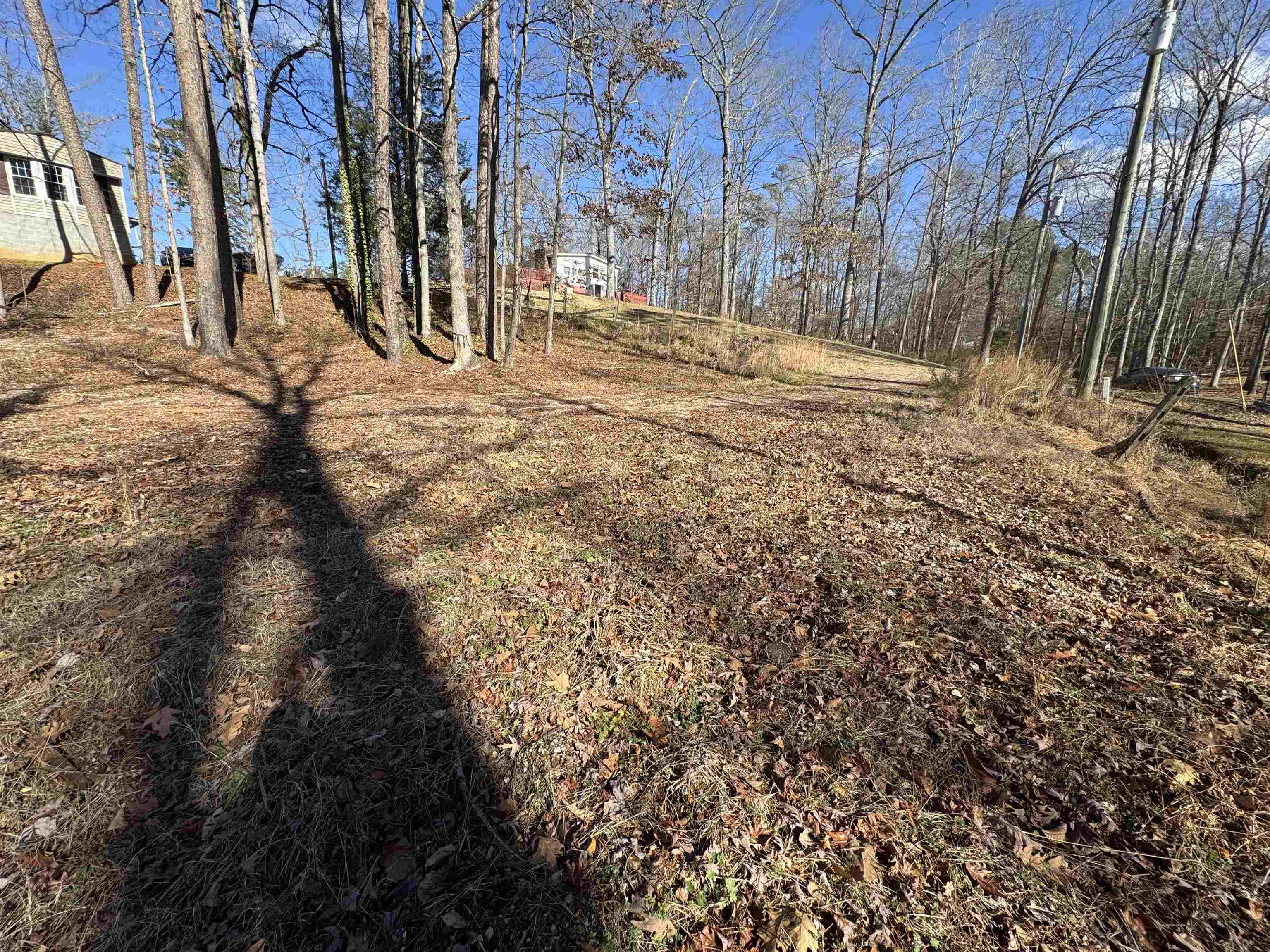 190 Cardinal Road Counce, TN 38326 - Photo 7 of 17 a view of large trees with yard