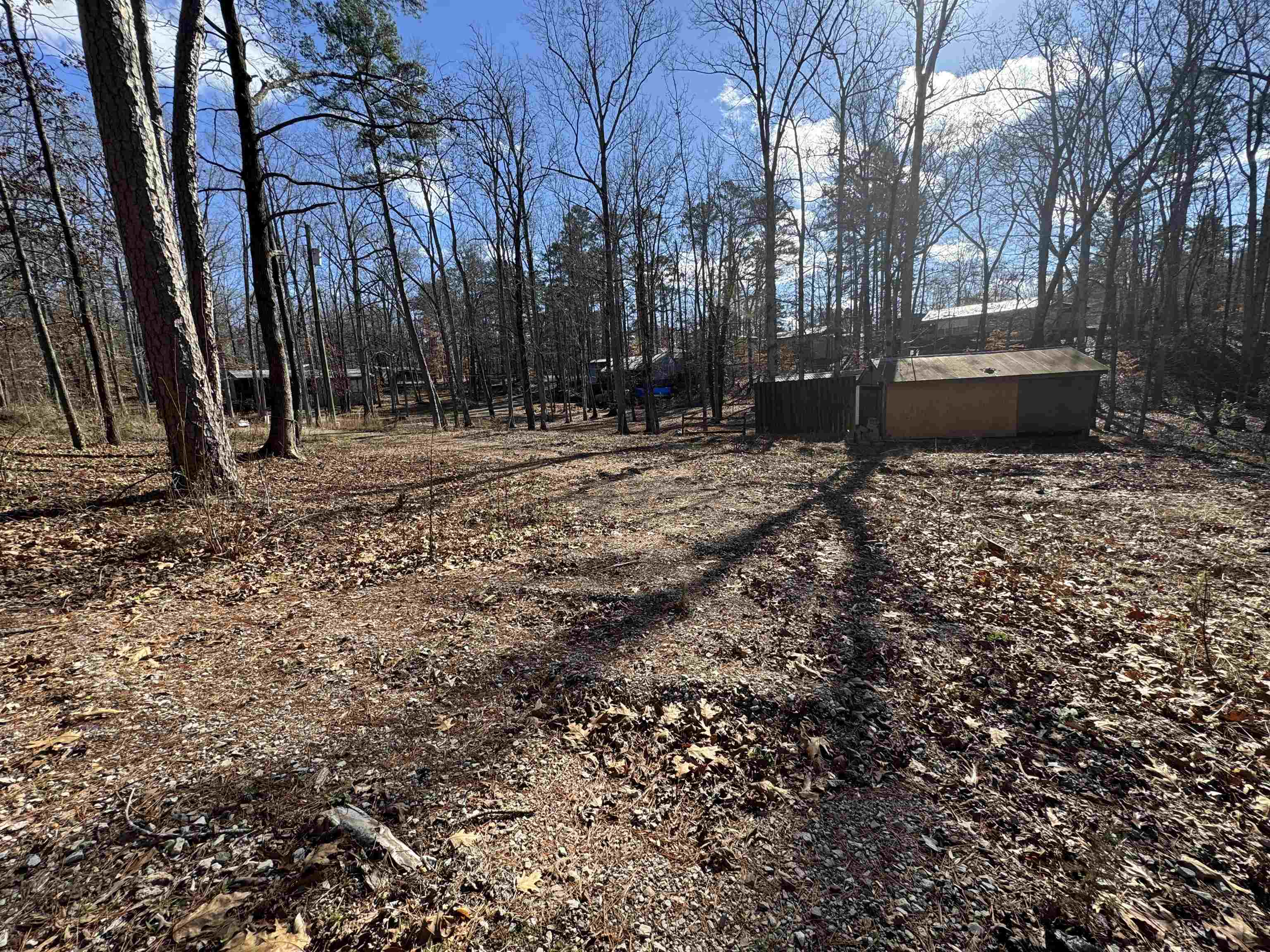 190 Cardinal Road Counce, TN 38326 - Photo 10 of 17 a backyard of a house with trees