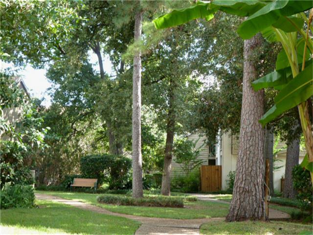 2100 Tanglewilde Street, Unit 8 Houston, TX 77063 - Photo 19 of 20 The tall Oaks, Pines and more are a great feature of The Oaks of Woodlake