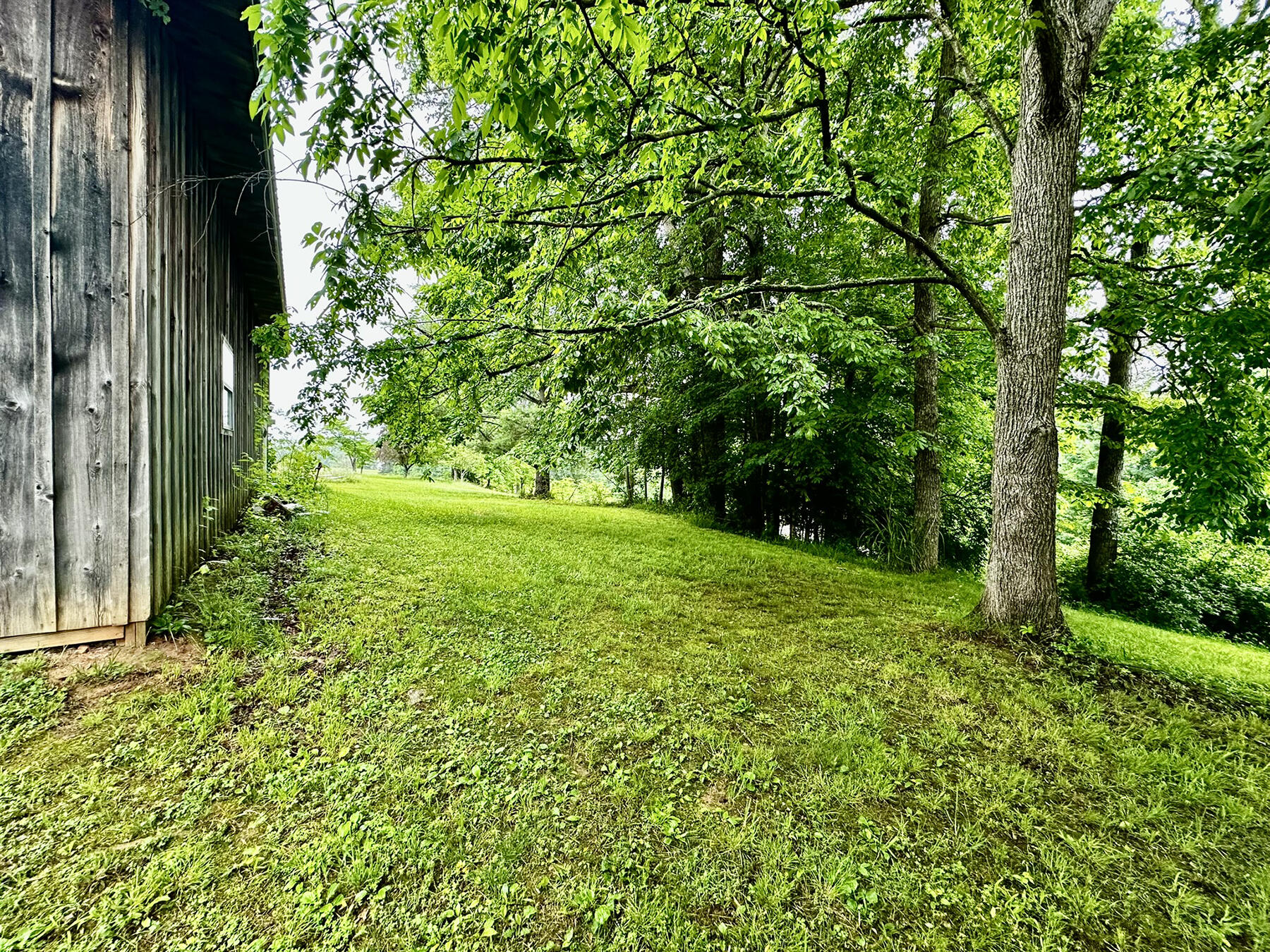 1702 Greenbriar Road Monticello, KY 42633 - Photo 11 of 45 IMG_8495