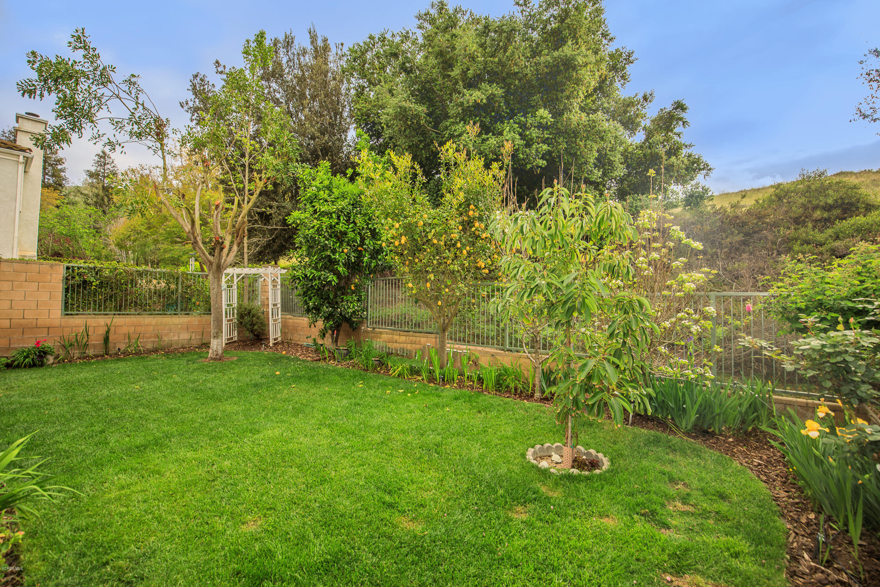 3959 Timberridge Road Moorpark, CA 93021 - Photo 34 of 48 a backyard of a house with lots of plants and large trees