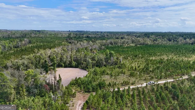 aerial view of a city and green space