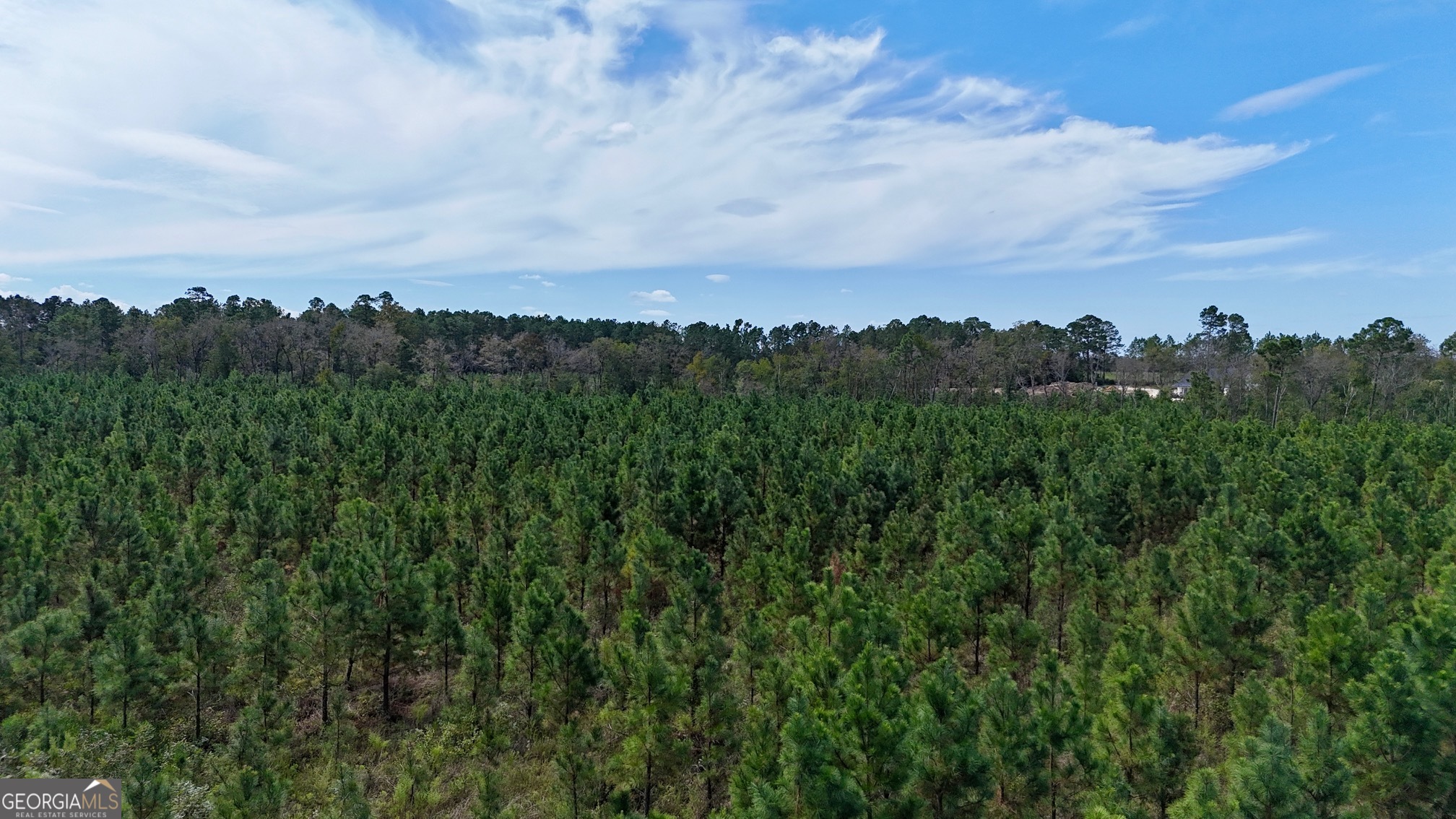 0 Ernest Carter Road Hazlehurst, GA 31539 - Photo 2 of 10 a view of a city and a mountain