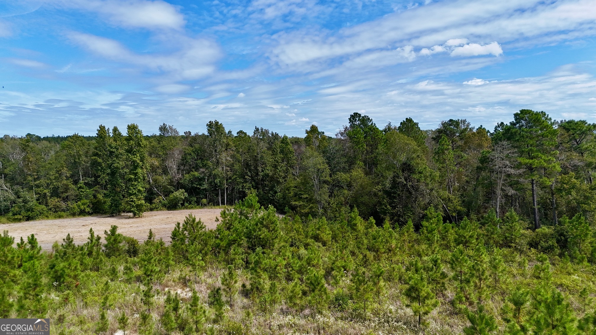 0 Ernest Carter Road Hazlehurst, GA 31539 - Photo 3 of 10 a view of a bunch of trees in a field