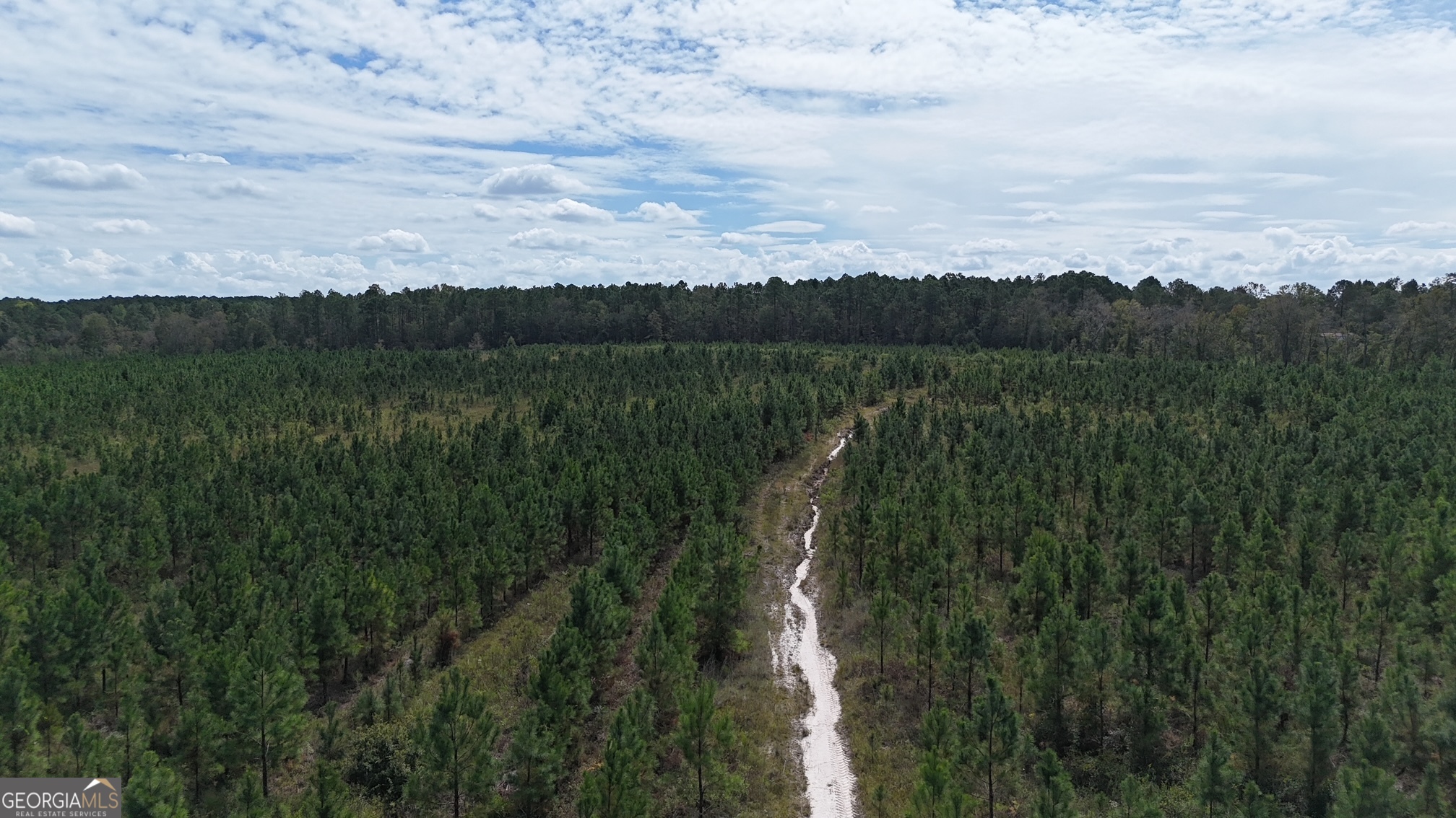 0 Ernest Carter Road Hazlehurst, GA 31539 - Photo 4 of 10 a view of lake with green space