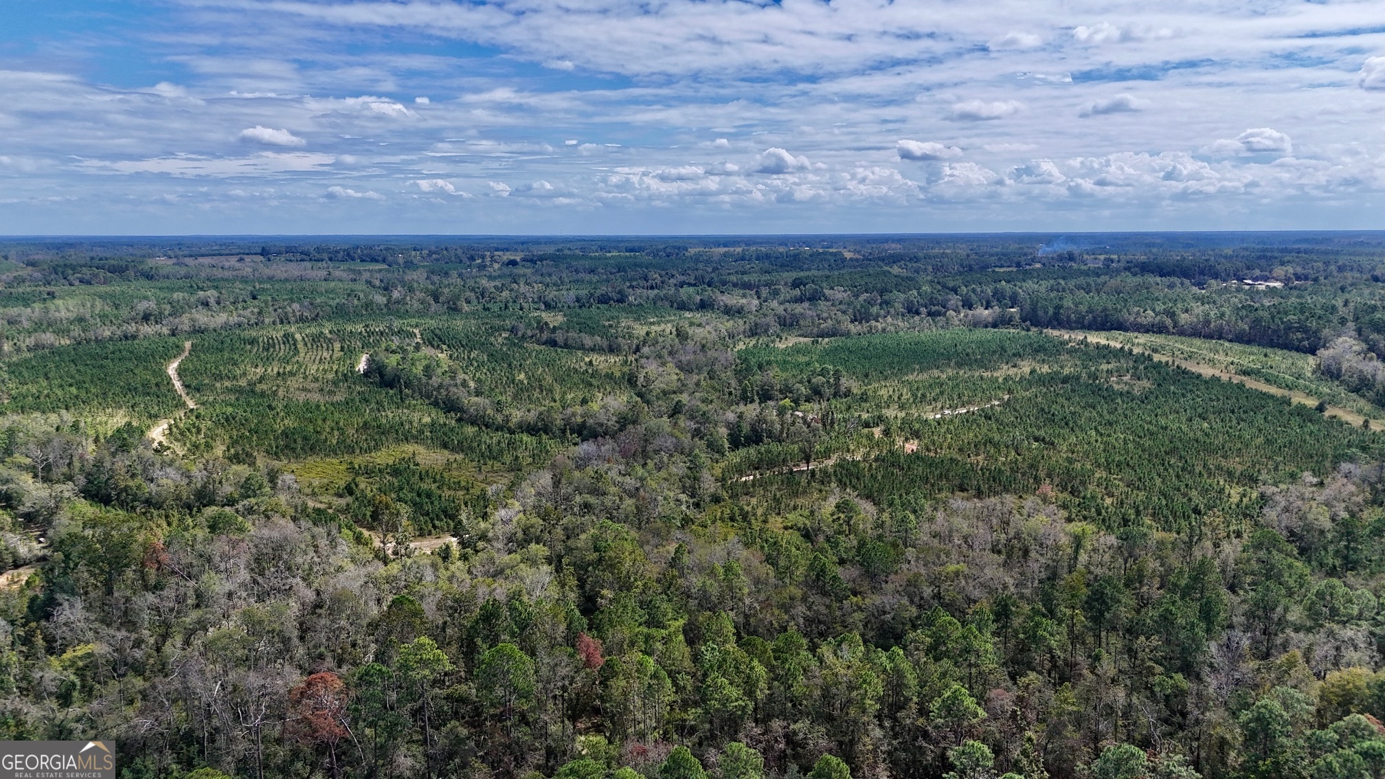 0 Ernest Carter Road Hazlehurst, GA 31539 - Photo 6 of 10 a view of a field with trees in the background