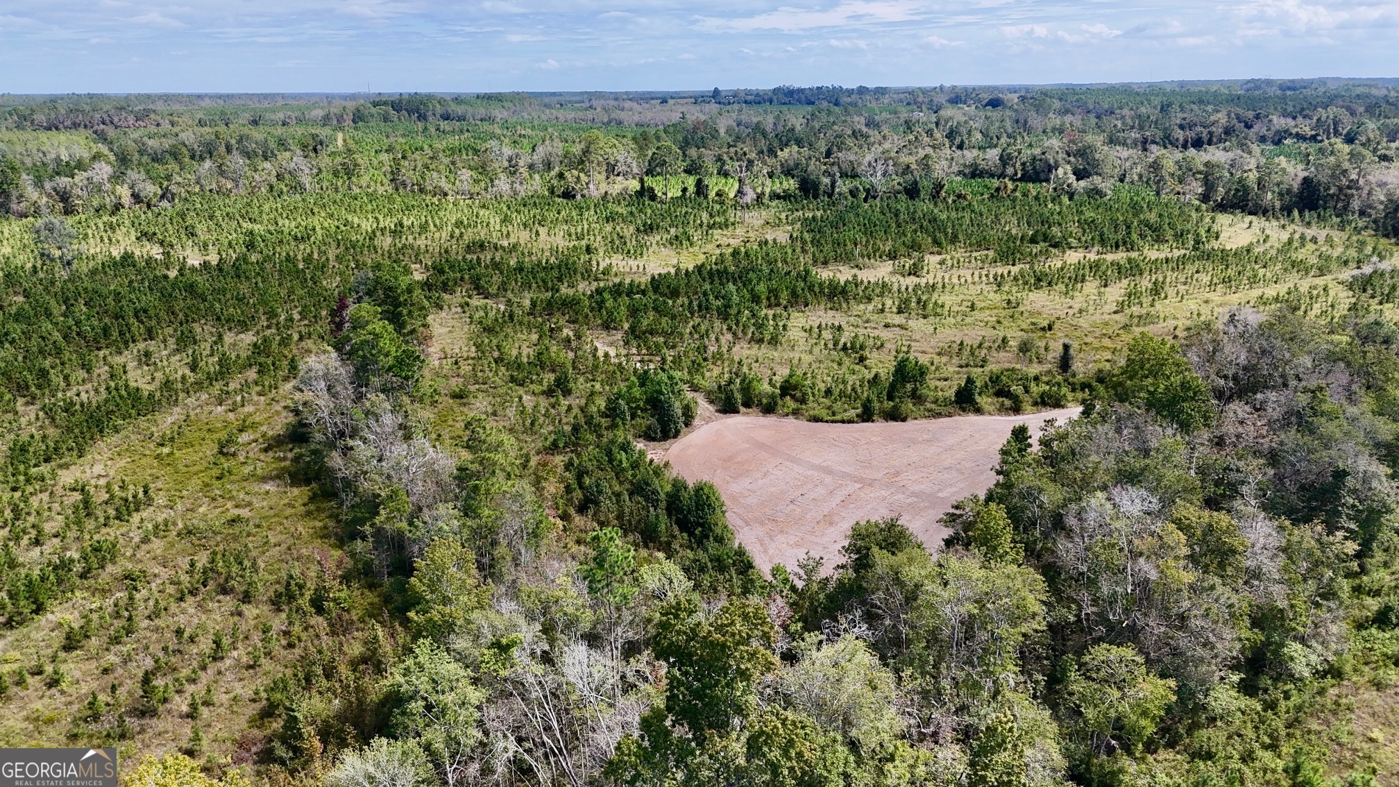 0 Ernest Carter Road Hazlehurst, GA 31539 - Photo 7 of 10 a view of a field of a house