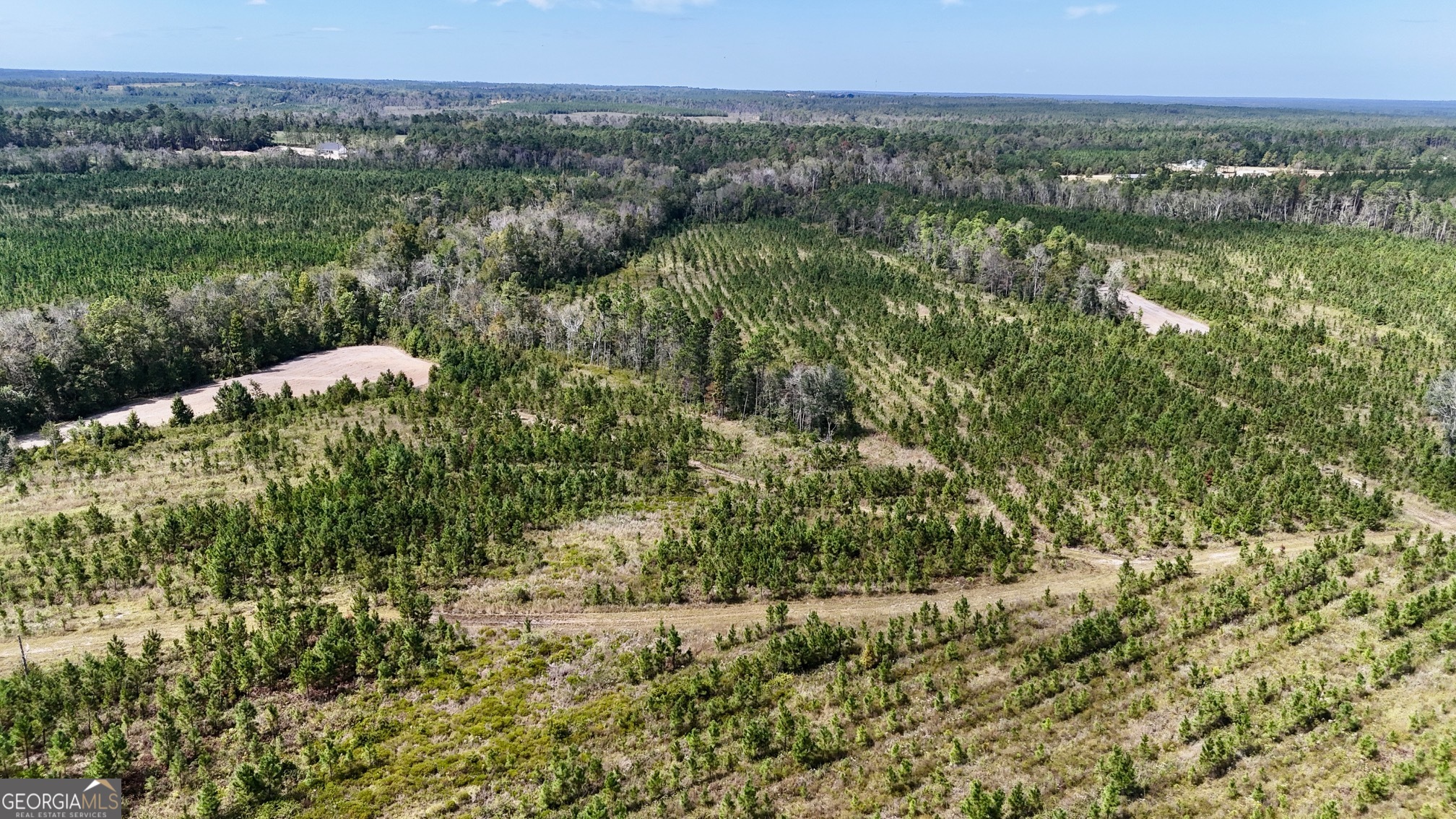 0 Ernest Carter Road Hazlehurst, GA 31539 - Photo 8 of 10 a view of a green field with lots of bushes
