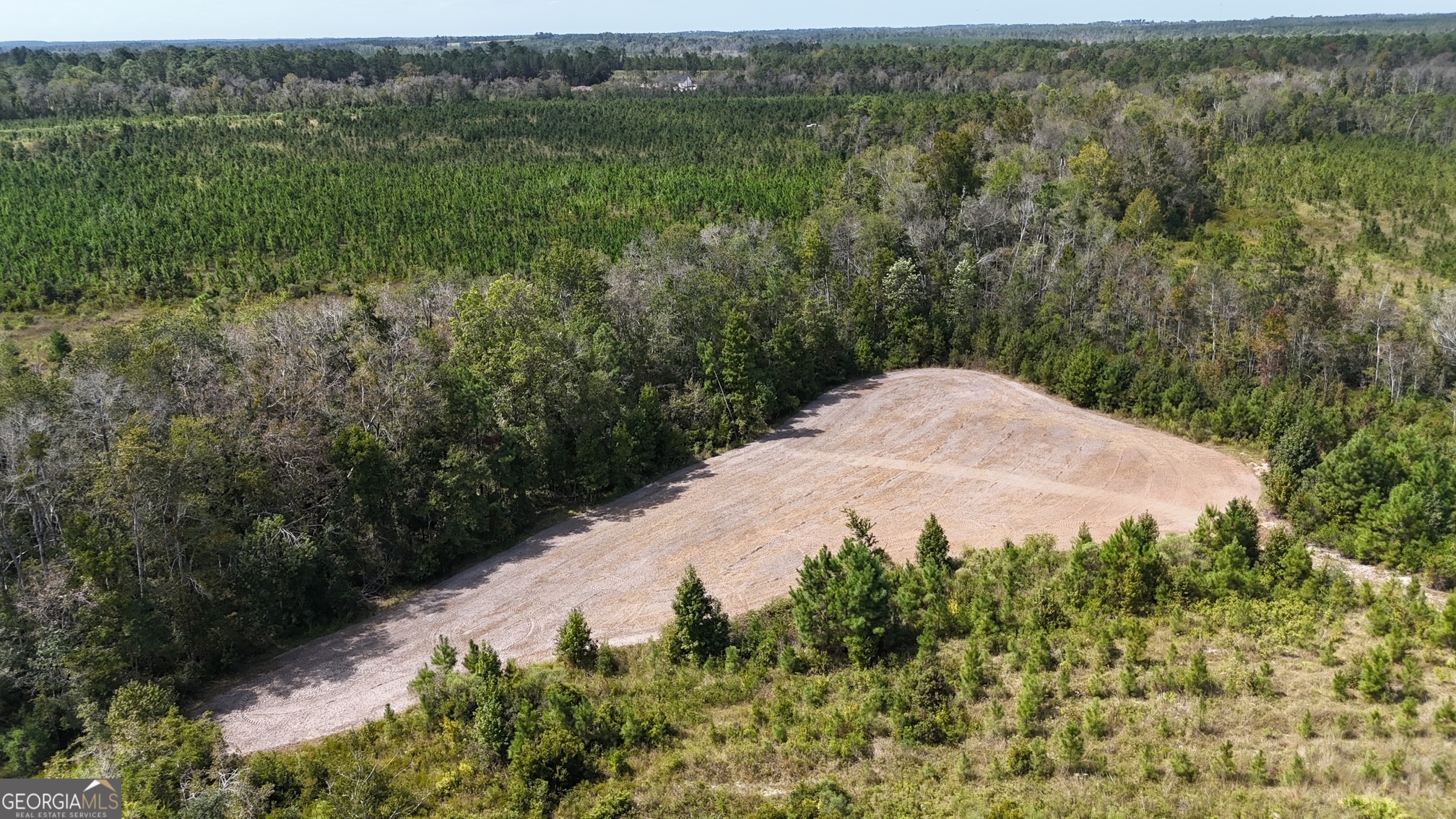 0 Ernest Carter Road Hazlehurst, GA 31539 - Photo 9 of 10 a view of a backyard of the house