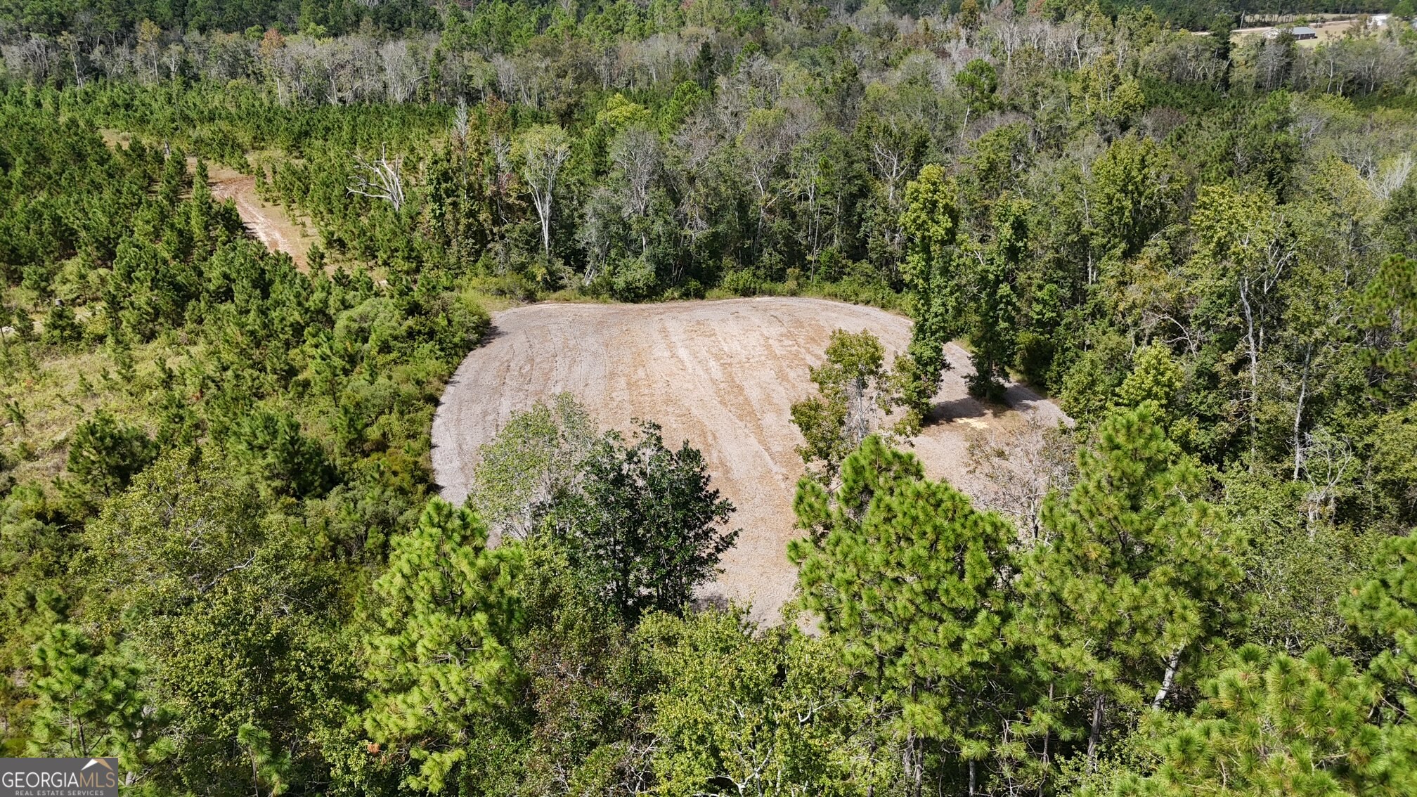 0 Ernest Carter Road Hazlehurst, GA 31539 - Photo 10 of 10