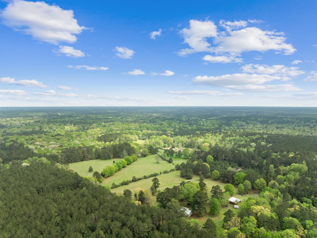 1090 Roberts Road Summit, MS 39666 - Photo 12 of 44 Photo 12