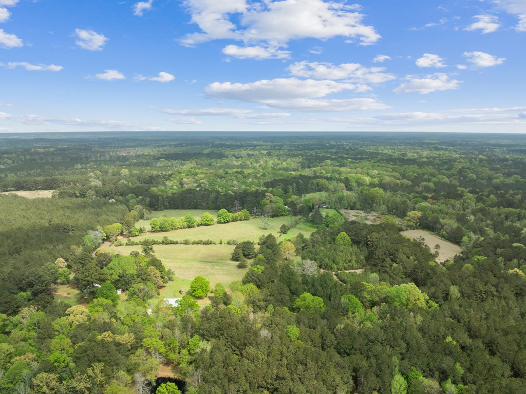 1090 Roberts Road Summit, MS 39666 - Photo 13 of 44 Photo 13