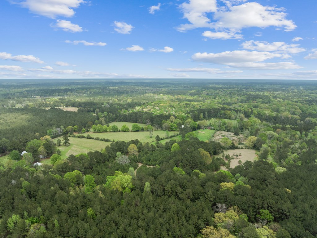 1090 Roberts Road Summit, MS 39666 - Photo 15 of 44 Photo 15