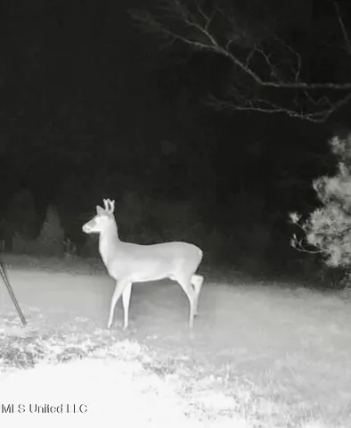 $399,000 | 1090 Roberts Road, Summit, MS 39666