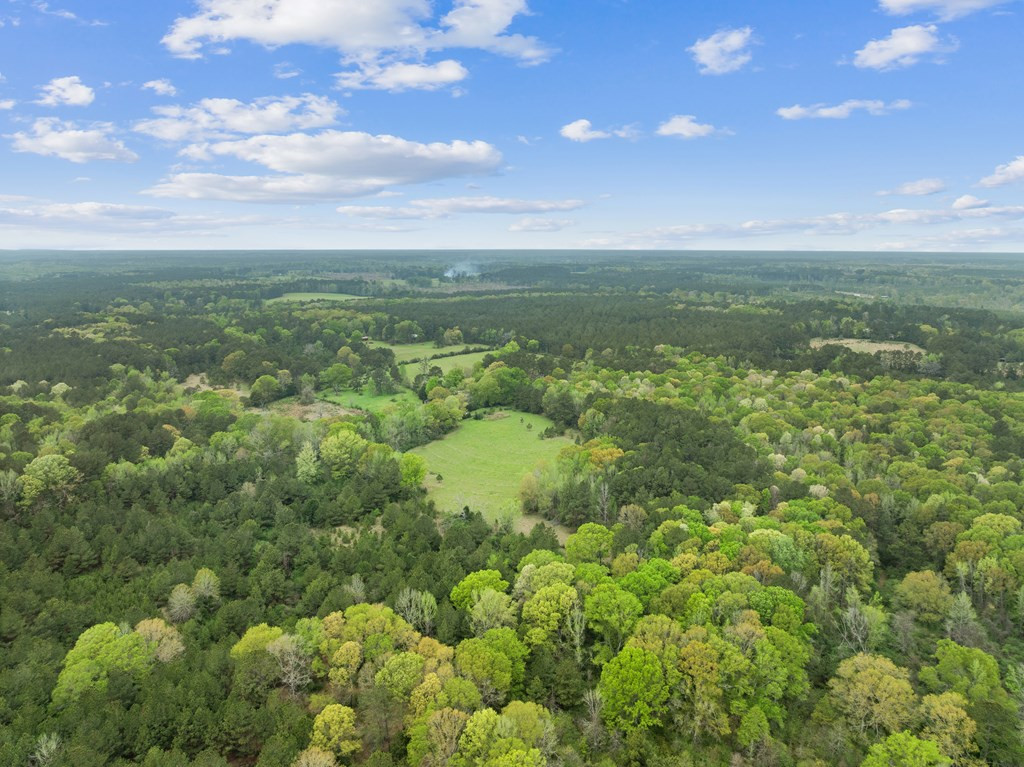 1090 Roberts Road Summit, MS 39666 - Photo 17 of 44 Photo 17