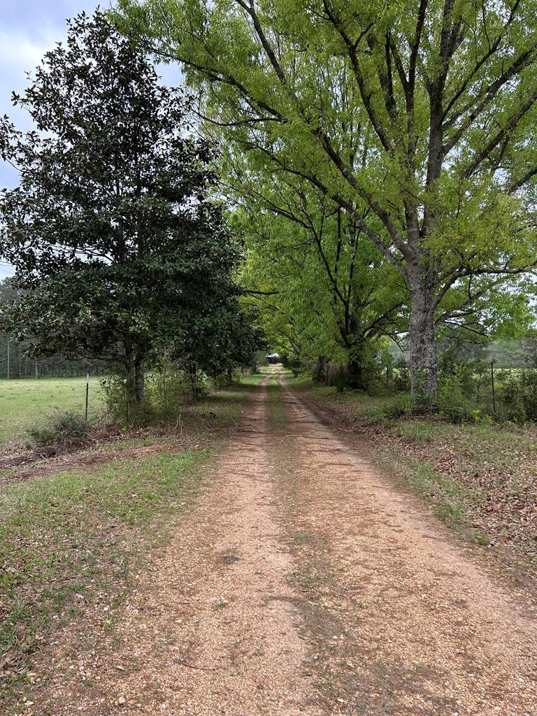 1090 Roberts Road Summit, MS 39666 - Photo 18 of 44 Photo 19