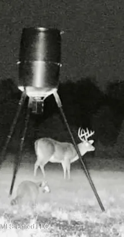 $399,000 | 1090 Roberts Road, Summit, MS 39666