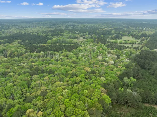 $399,000 | 1090 Roberts Road, Summit, MS 39666