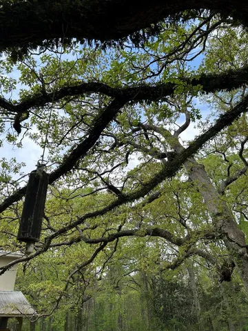 $420,000 | 1090 Roberts Road, Summit, MS 39666