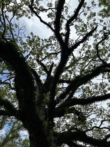 $399,000 | 1090 Roberts Road, Summit, MS 39666