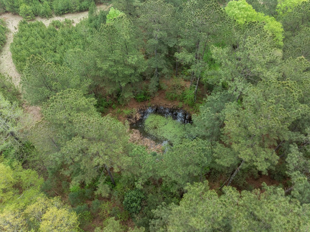 1090 Roberts Road Summit, MS 39666 - Photo 4 of 44 Photo 4