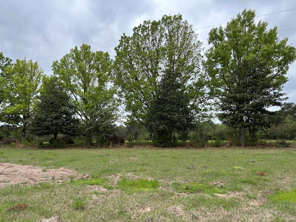 1090 Roberts Road Summit, MS 39666 - Photo 41 of 44 Photo 42