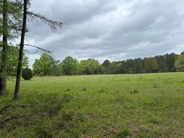 $399,000 | 1090 Roberts Road, Summit, MS 39666