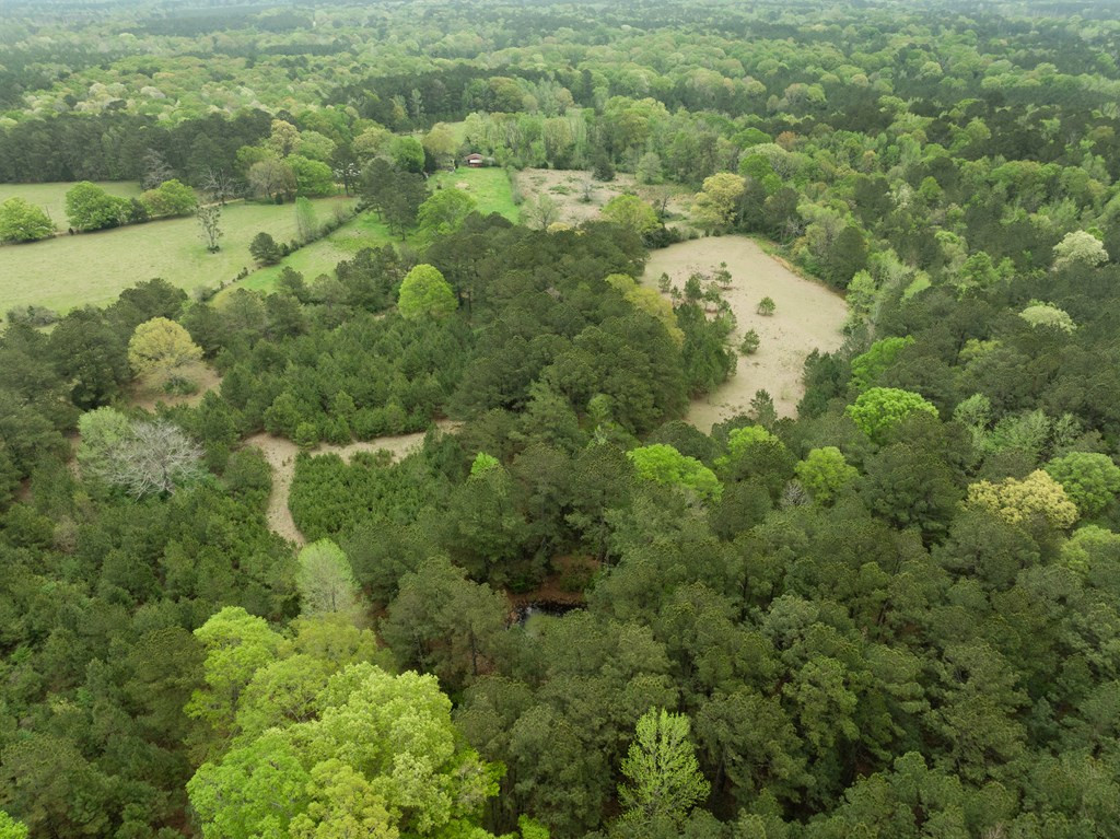 1090 Roberts Road Summit, MS 39666 - Photo 9 of 44 Photo 9