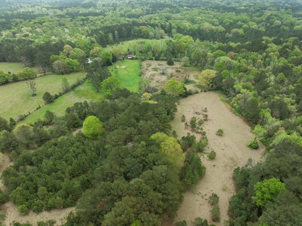 1090 Roberts Road Summit, MS 39666 - Photo 10 of 44 Photo 10