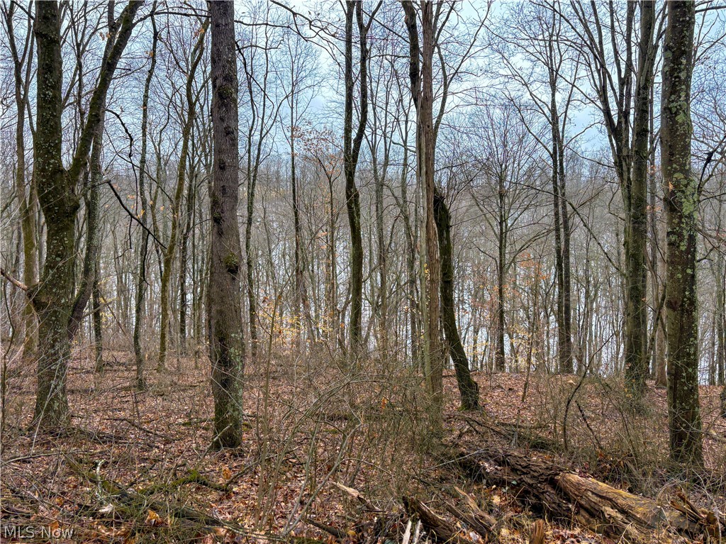 0 Tract 4 Twp Road Woodsfield, OH 43793 - Photo 29 of 34