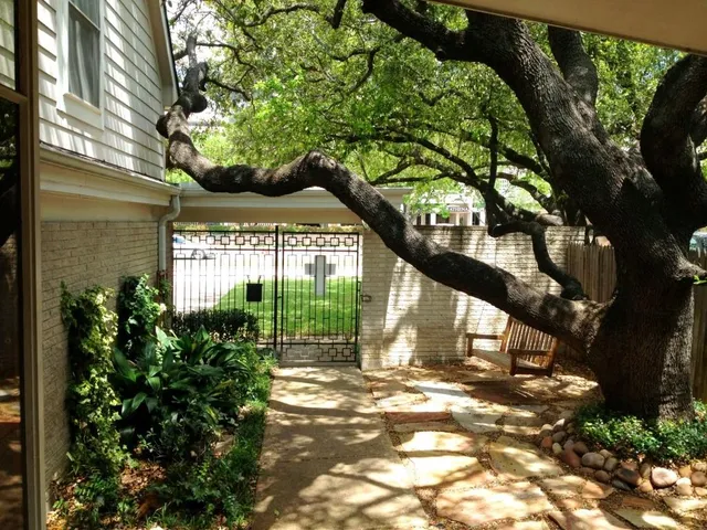 a view of a pathway of a house with a tree