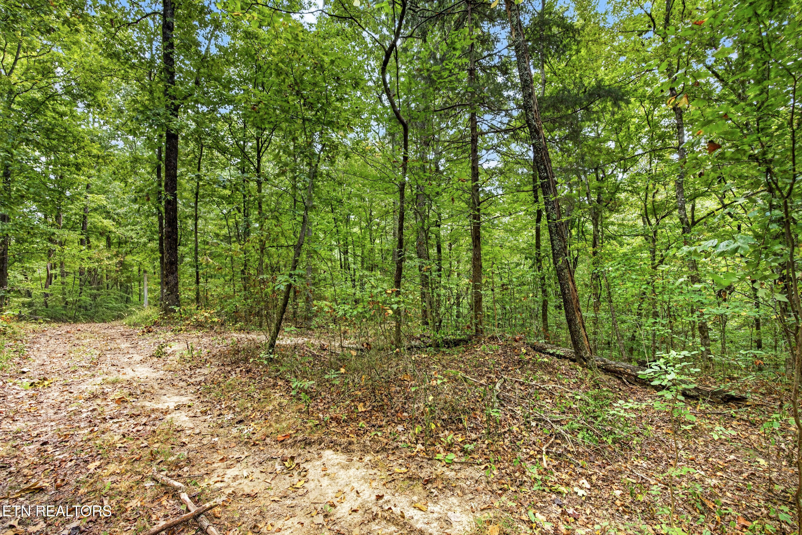 Lot 23 Timber Ridge Lane Celina, TN 38551 - Photo 9 of 12 8-8N5A6497