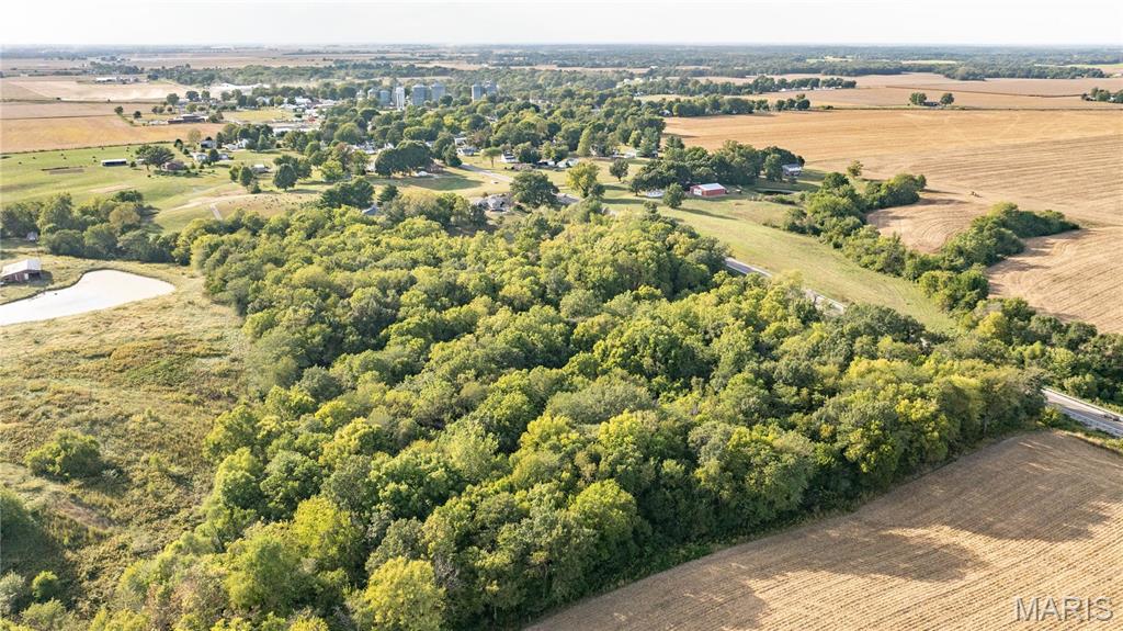 115 Schoeneman Road Shipman, IL 62685 - Photo 14 of 80 Gallery Image 14