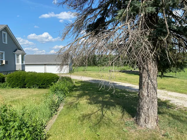 a view of backyard with swimming pool and green space