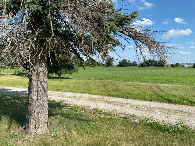 a backyard of a house with lots of green space