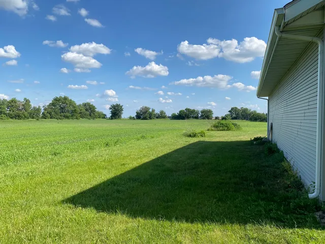 a view of a big yard with a large tree