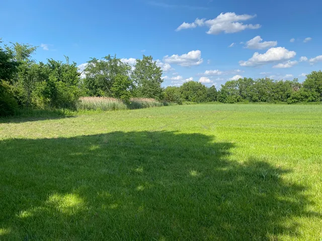 a view of an outdoor space and yard