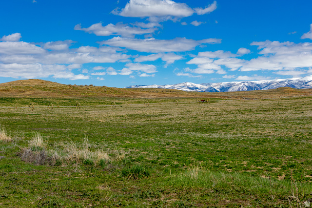 16875 East Race Track Road Moroni, UT 84646 - Photo 14 of 30