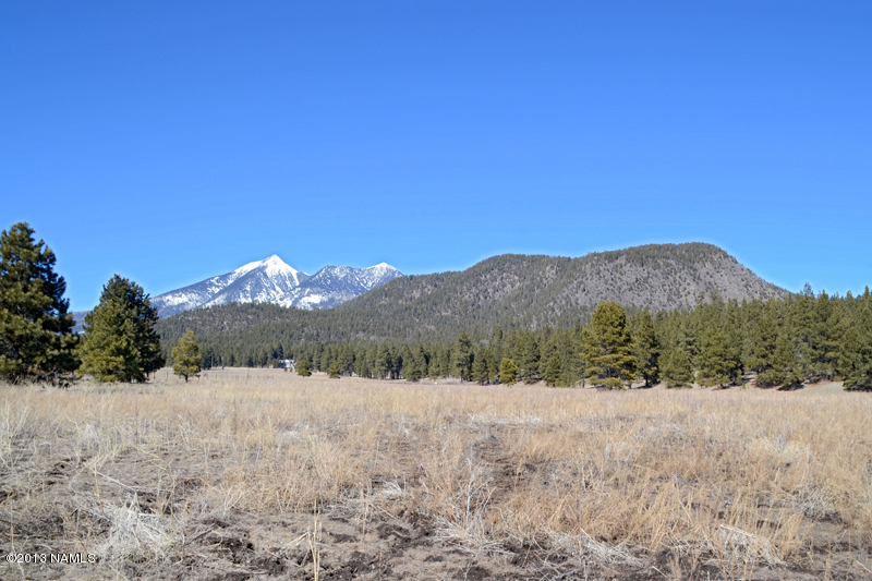 0 Lockett Ranches Flagstaff, AZ 86001 - Photo 1 of 6 Locket Ranches