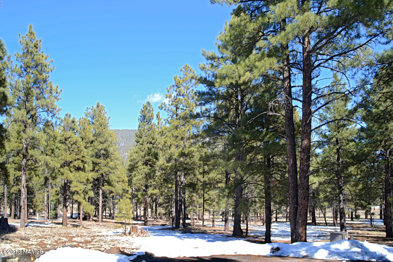 0 Lockett Ranches Flagstaff, AZ 86001 - Photo 2 of 6 Looking North 1