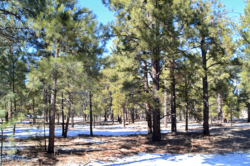 0 Lockett Ranches Flagstaff, AZ 86001 - Photo 3 of 6 Looking North 2