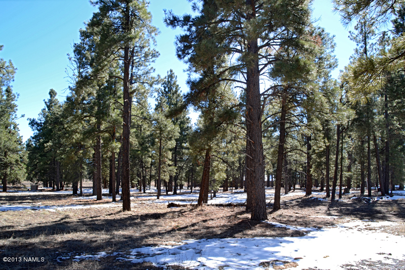 0 Lockett Ranches Flagstaff, AZ 86001 - Photo 4 of 6 Looking South