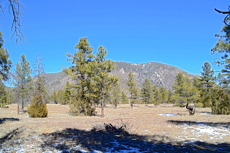 0 Lockett Ranches Flagstaff, AZ 86001 - Photo 5 of 6 North View 1