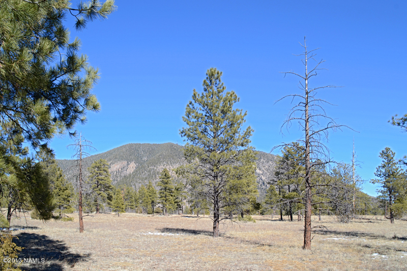 0 Lockett Ranches Flagstaff, AZ 86001 - Photo 6 of 6 North View 2