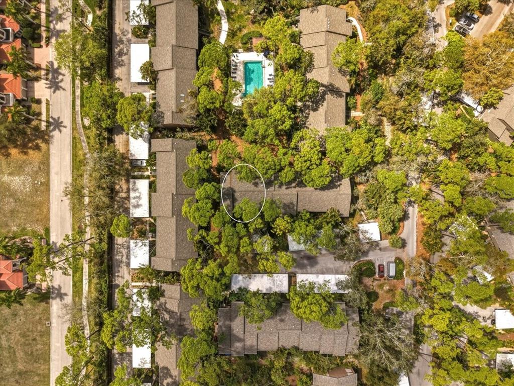 1711 Pelican Cove Road, Unit 341 Sarasota, FL 34231 - Photo 40 of 50