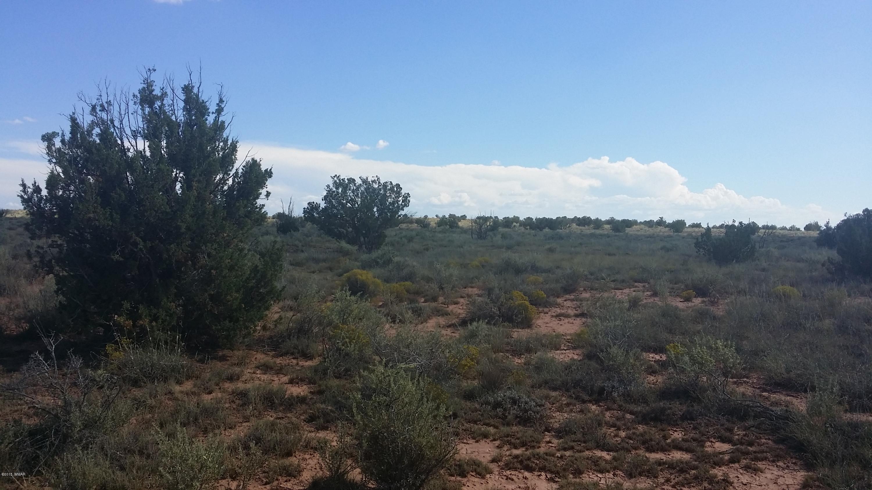 13 Woodridge Ranch Snowflake, AZ 85937 - Photo 1 of 8