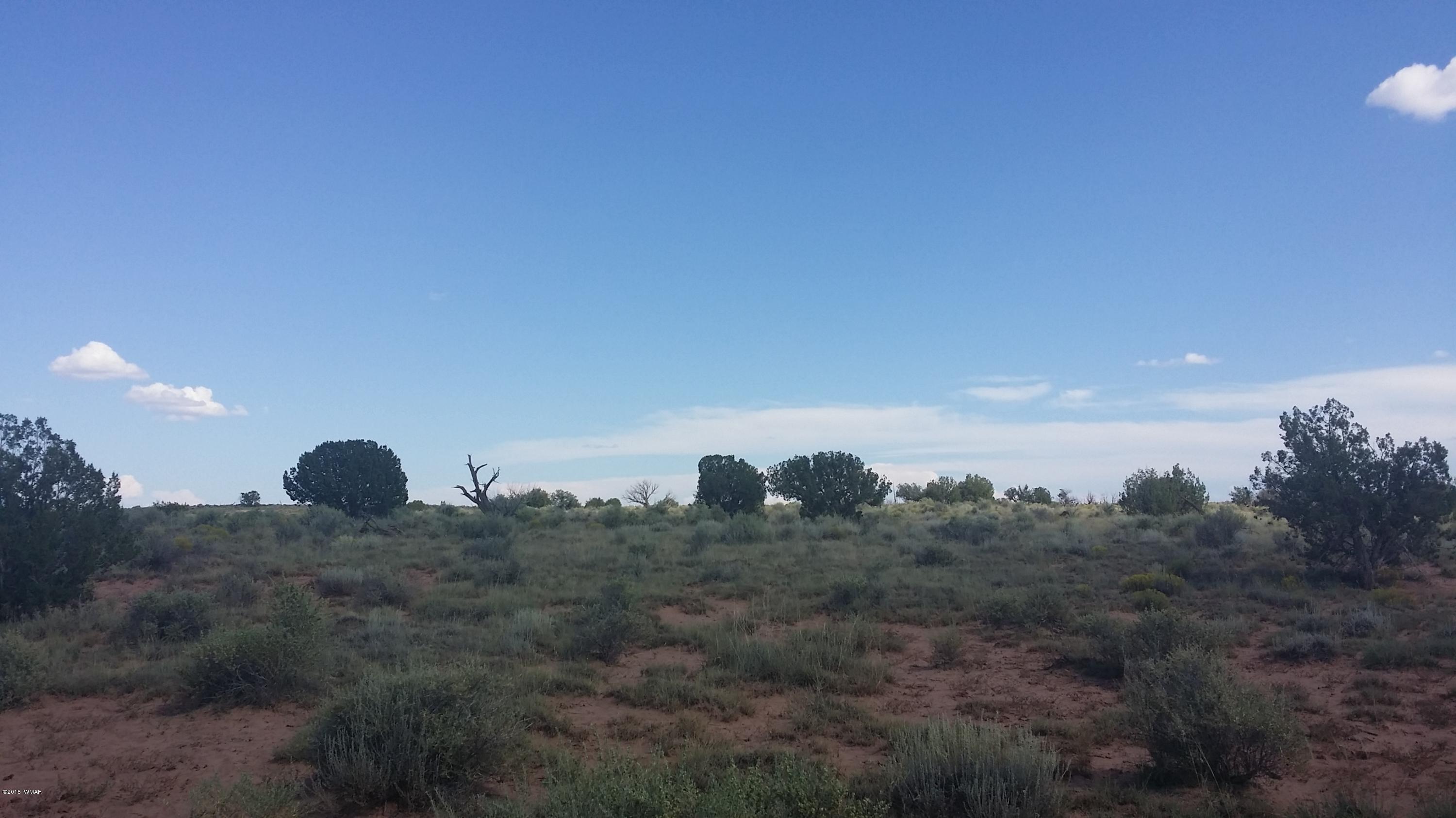 13 Woodridge Ranch Snowflake, AZ 85937 - Photo 2 of 8