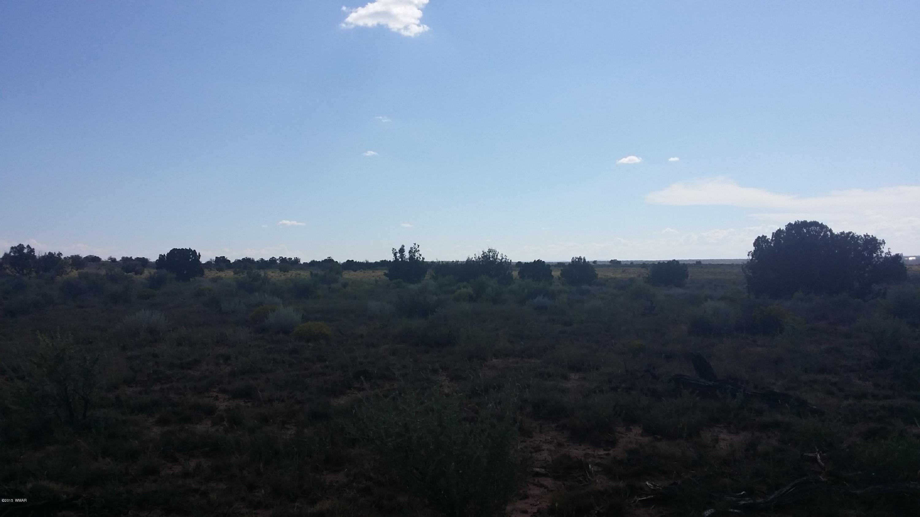 13 Woodridge Ranch Snowflake, AZ 85937 - Photo 3 of 8