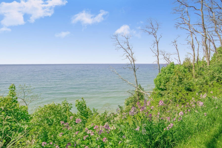 4410 Fox Farm Road Manistee, MI 49660 - Photo 45 of 56 20190611125107346858000000-o